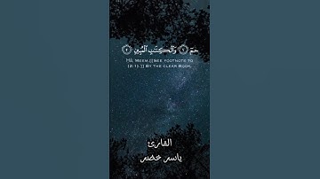 تلاوة خاشعة هادئة تريح القلب والعقل من سورة الدخان، القارئ ياسر خضر