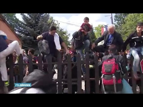 Video: Infogrames Jaagt Op Vluchtelingen