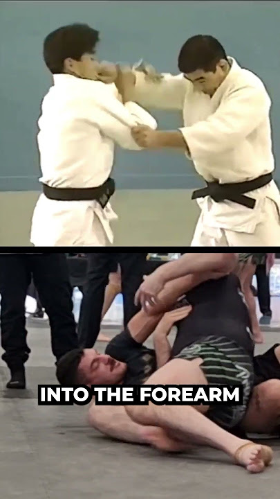 HORRIFIC armbar technique. #jujutsu #aikido #mma