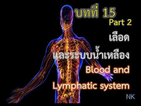 บทที่ 15 ระบบหมุนเวียนเลือด (Circulatory system) Part 2 เลือดและระบบน้ำเหลือง
