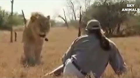 Homem Africano X Leão