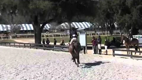 Video of Rainier ridden by Rebecca Steen from Show...