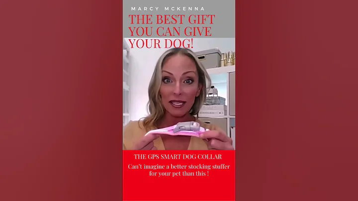 A MUST HAVE Gift for Dog Lovers! #doglovers #doggi...