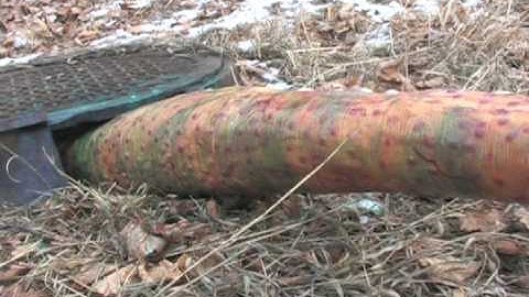 HAUNTEDPROPS.COM GIANT TENTACLE