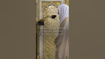 ما تيسر من سورة الحجرات 🤍🎧 #المصحف #قرآن #قران_كريم #سورة_الحجرات #أحمد_بن_طالب