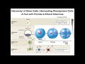 What's the Deal with Induced Pleuripotent Stem Cells (iPSCs)?