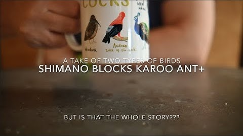forever karoo despite part di2 - a take of two types of birds and why shimano is not the whole story