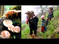 Life With Nature || video - 49 || Finding Mushroom in the Jungle for Curry ||