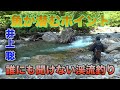井上聡 渓流釣り 魚が潜むポイント Satoshi Inoue Mountain stream fishing that no one can hear