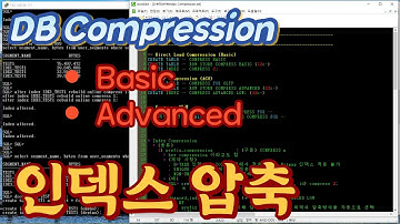 오라클 데이터베이스 압축 (Index Compression)
