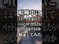 喧嘩中にミュートを忘れてペットにメロつきだしたらどんな反応するのか