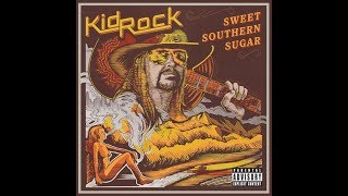 Miniatura del video "Sweet southern sugar review kid rock"