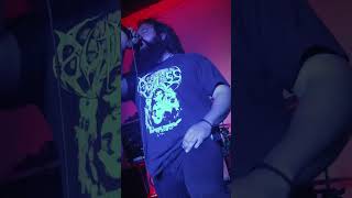 Outless Paws & Claws Recap