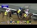 Race 6 - Dubai Duty Free Golf world Cup