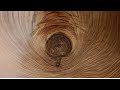 Woodturning  from log to vessel