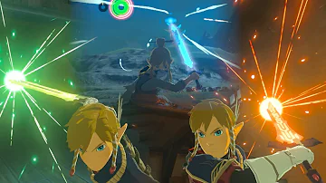 ゼルダの伝説ブレスオブザワイルドバグ集
