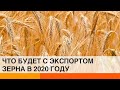 Украине грозит неурожай? Что будет с ценами на продукты – ICTV