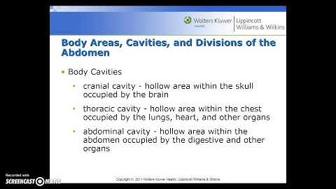 Medical Terminology - Chapter 3 - Live Lecture, Part 1
