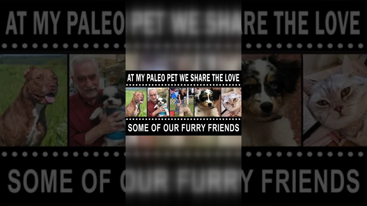 USDA‑approved fresh foods, treats and how to order