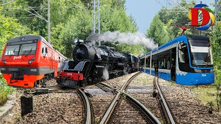 Изучаем поезда и железнодорожный транспорт для детей / Обучающее видео