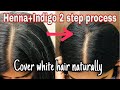 Henna Indigo Hair Dye 2 Step process | Turn White hair to Black hair Naturally | #TeluguVlogsFromUSA