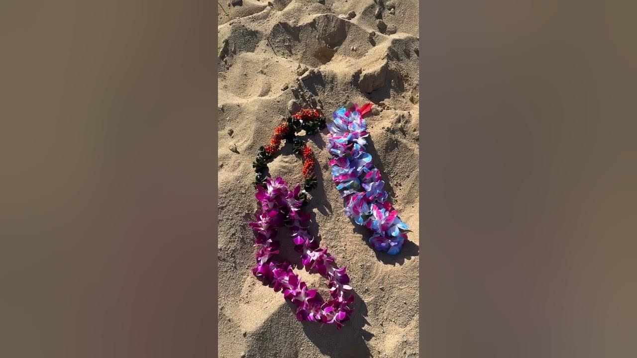 Lilo & Stitch | Things in Hawaii That Just Make Sense