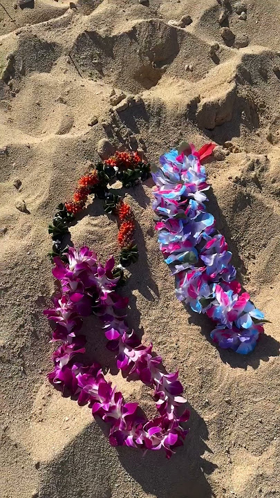 Lilo & Stitch | Things in Hawaii That Just Make Sense