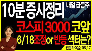 [10분 증시요약]DS특집_코스피 3천 코앞, 6/18일 조정 혹은 반등 섹터는?