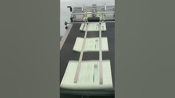 Amark Friction Paging Machine for Automatic Separation of Food Packaging Bags#paging#feeder#conveyor