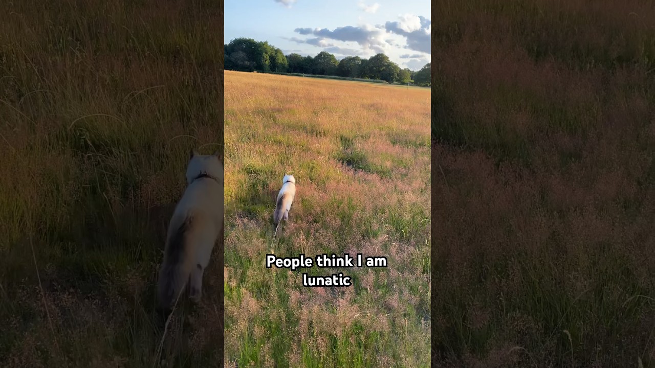 Only cat owners understand 😁