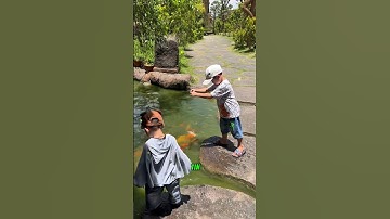 TIỀN BẠC QUYẾT ĐỊNH KHÍ CHẤT CỦA BẠN…#tritue #baihoccuocsong #đạolý #tuduy #trituenguoixua