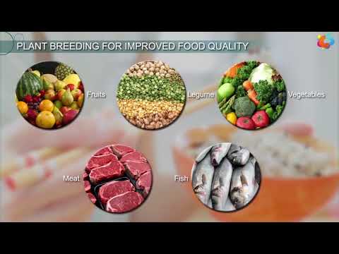 Video: Během biofortifikačního šlechtění pro zlepšení nutriční kvality?