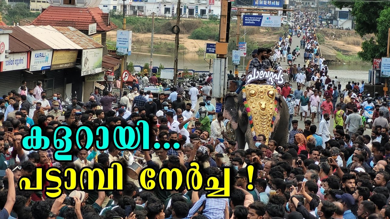 Pattambi Nercha 2022 | തല്ലും പിടിയും ഇല്ലാതെ എന്ത് പട്ടാമ്പി നേർച്ച 😏 