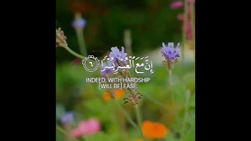 الم نشرح لك صدرك 🌹 الشيخ مشاري العفاسي حالات واتس اب دينية قصيرة مؤثرة قرآن كريم تلاوة خاشعة انستا