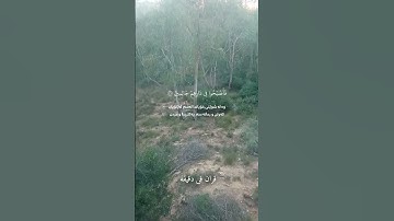 قران كريم ارح قلبك وسمعك #قران_في_دقيقة #quran #رعد_الكردي #قرآن @قران_في_دقيقة