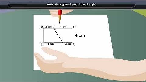 Area of congruent parts of rectangles | Class 7 | Maths