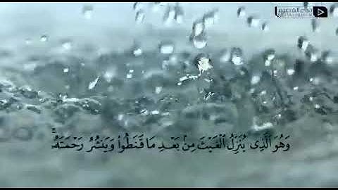 تلاوة خاشعة وآية مباركة من سورة الشورى.📚/ القارئ صالح بن علي الفضل../حالات واتس أب..