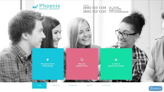 Phoenix WordPress Theme by WT Website Template - 54934