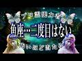 【魚座】表示された一度目で再生してください。5月前半にとんでもない事が起こります。【霊視タロット】