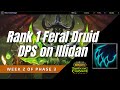 Rank 1 Feral Druid DPS on Illidan | Classic TBC