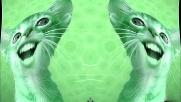 Preview 2 Numa Cat With 6 Effects Exo^4