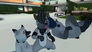 Shiba Squad Action - Shorties Part 2