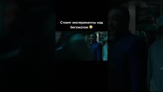 Ставят Эксперементы Над Бегемотом