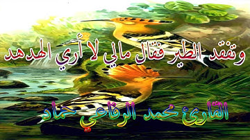 قران مجود سورة النمل وتفقد الطير فقال مالي لا اري الهدهد للقارئ محمد الرفاعي حماد