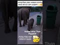 The waste by inhuman put on road put by little animal in dustbin- see who is wise man or animal