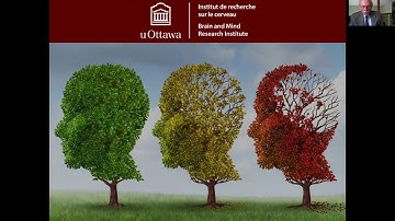 Building Up Your Brain