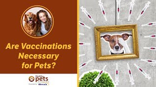 Dr. Becker: Are Vaccinations Necessary for Pets?