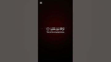 القران الكريم سورة التكاثر #المصحف #اكسبلور #لايك