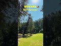 A Hidden Paradise Hidden Places Near Dehradun Kritiaulakhvlogs Shortvideos Dehradun A Hidden Paradise Hidden Places Near Dehradun Kritiaulakhvlogs Shortvideos Dehradun