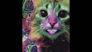 [#SWF] [ANIME] Psychedelic Cat #mushrooms